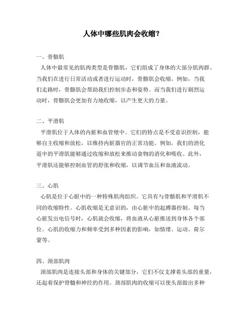 人体中哪些肌肉会收缩？