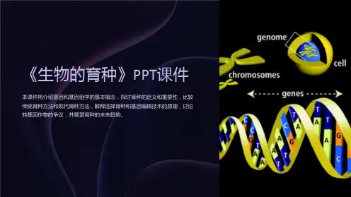 《生物的育种》课件