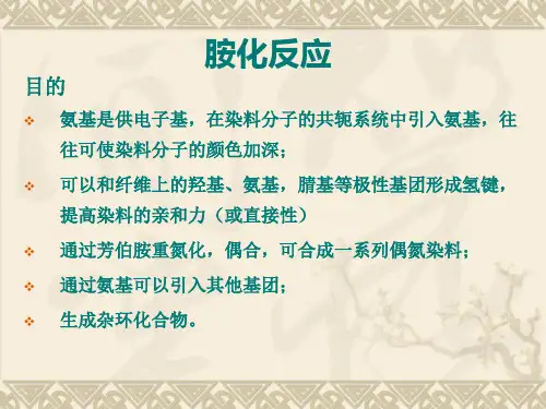 染料合成与应用 03胺化羟基化