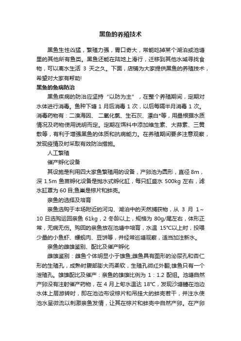 黑鱼的养殖技术