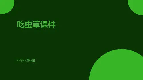 吃虫草课件
