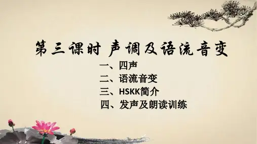 第三课时 声调及语流音变