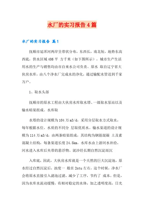 水厂的实习报告4篇
