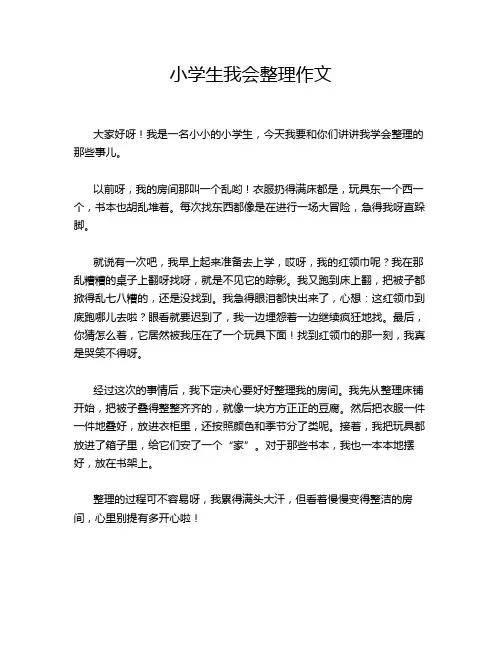 小学生我会整理作文