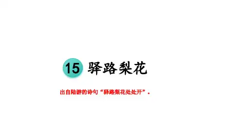 第15课《驿路梨花》 课件(共50张PPT) 统编版语文七年级下册