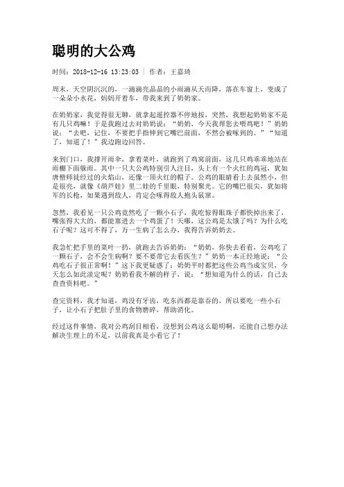 聪明的大公鸡