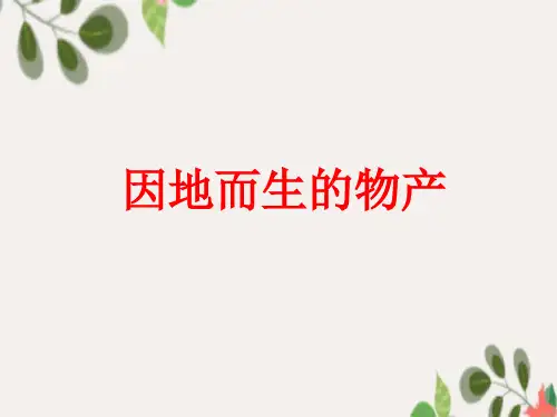辽海版道德与法治三下1.2.1因地而生的物产PPT课件共25页