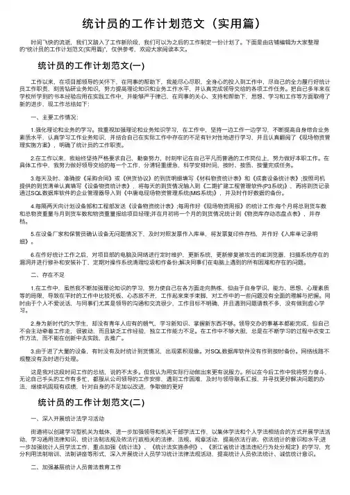 统计员的工作计划范文（实用篇）