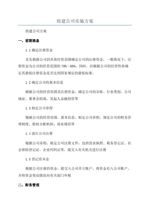组建公司实施方案