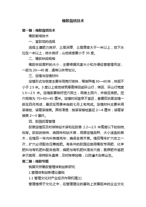 橡胶栽培技术