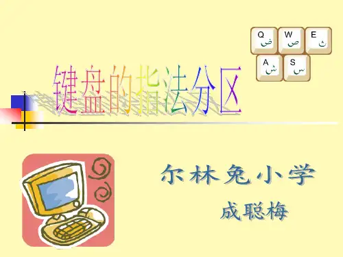 键盘的指法分区