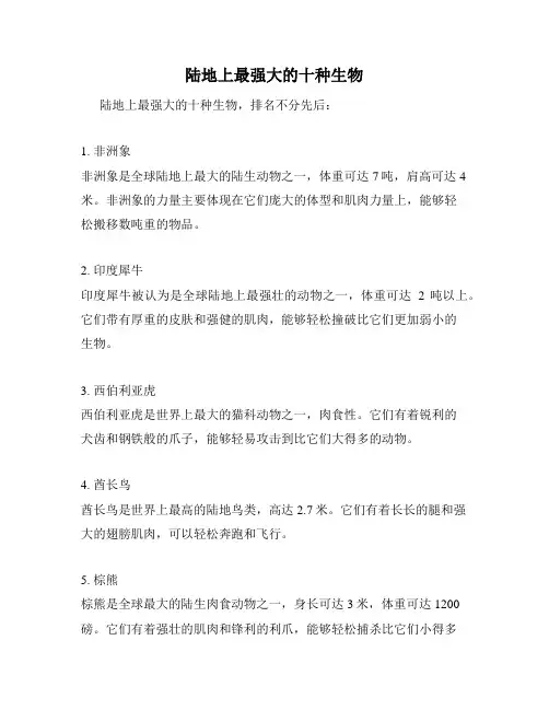 陆地上最强大的十种生物