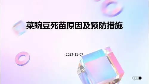 菜豌豆死苗原因及预防措施
