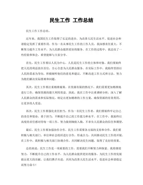 民生工作 工作总结