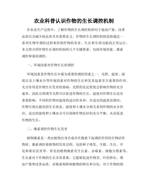 农业科普认识作物的生长调控机制