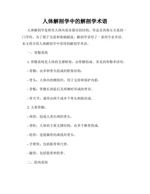 人体解剖学中的解剖学术语