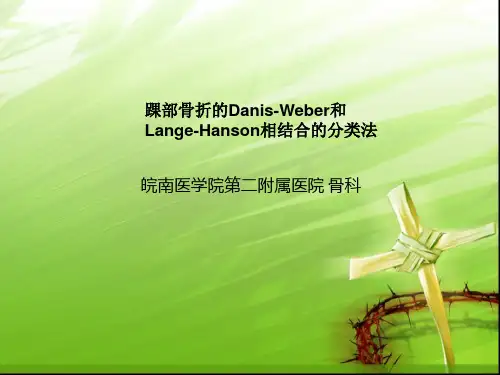 踝关节骨折的分型---讲课用ppt模板