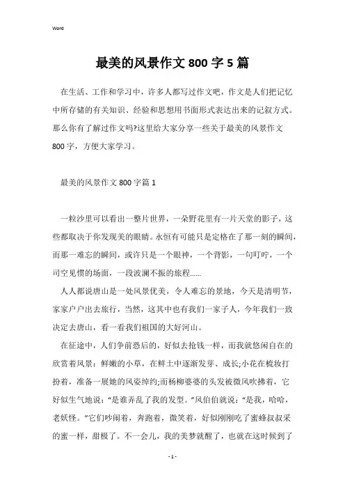 最美的风景作文800字5篇
