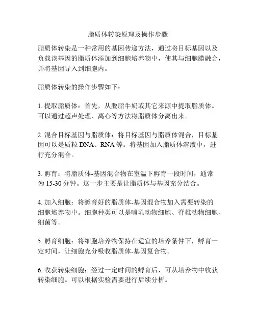 脂质体转染原理及操作步骤