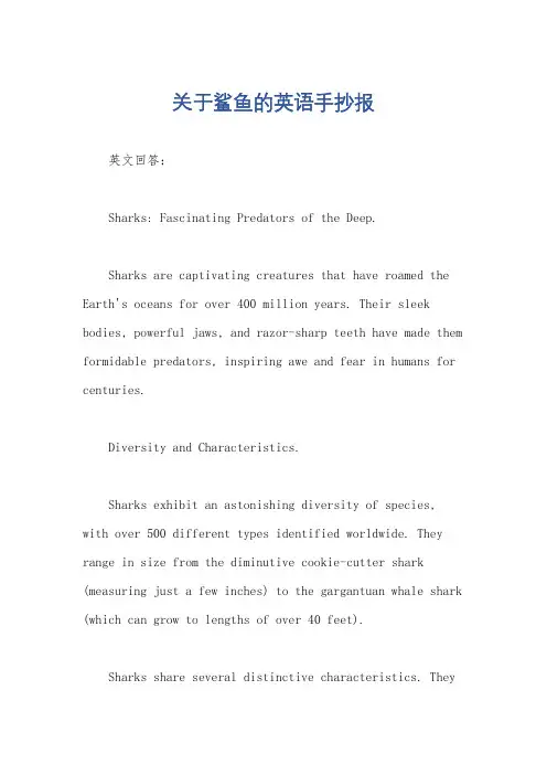 关于鲨鱼的英语手抄报