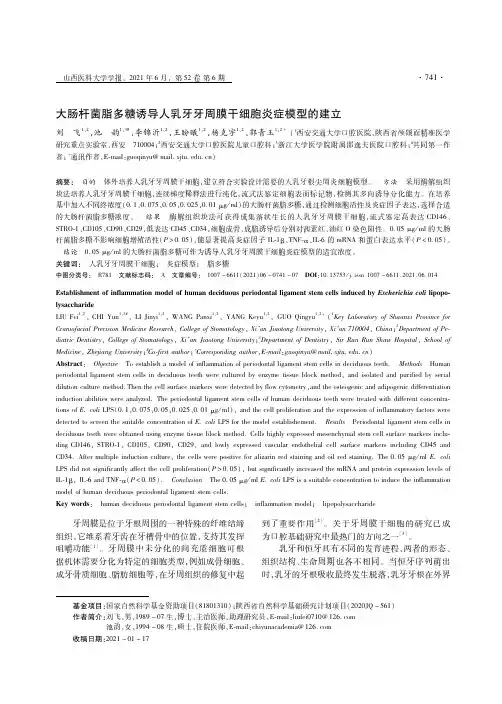 大肠杆菌脂多糖诱导人乳牙牙周膜干细胞炎症模型的建立
