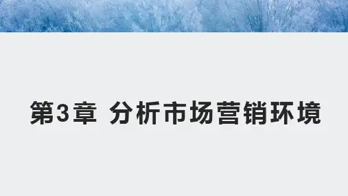 科特勒、阿姆斯特朗《市场营销学》 第3章 市场营销环境分析