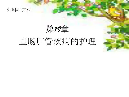 第19章_直肠肛管疾病病人的护理ppt课件