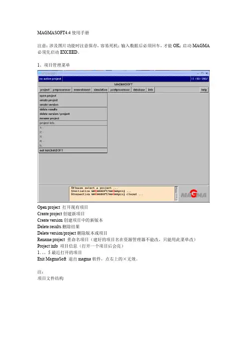 (完整word版)MAGMASOFT4.4使用手册