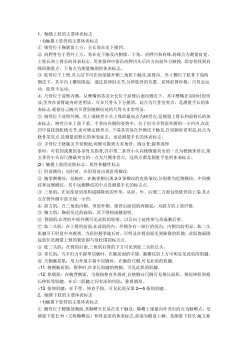 体表标志【范本模板】