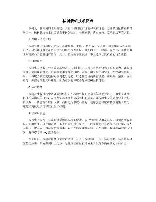 桉树栽培技术要点
