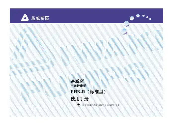 易维奇EHN系列计量泵中文说明书