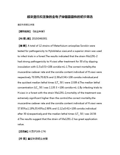感染萧氏松茎象的金龟子绿僵菌菌株的初步筛选