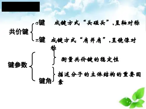 共价键与分子的空间构型PPT课件(上课用)