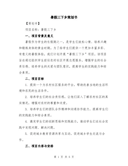 暑假三下乡策划书