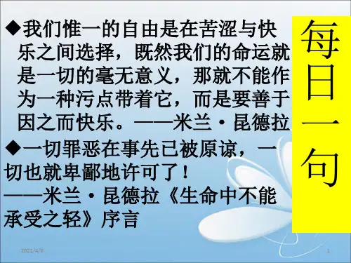 徐文长传PPT课件