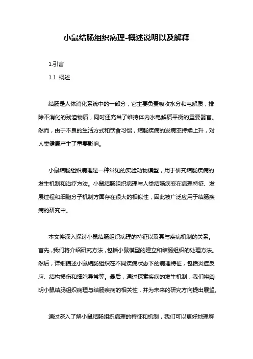 小鼠结肠组织病理-概述说明以及解释