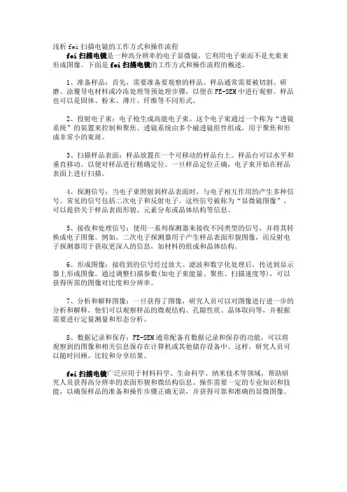 浅析fei扫描电镜的工作方式和操作流程
