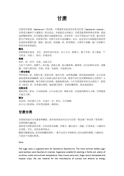 甘蔗