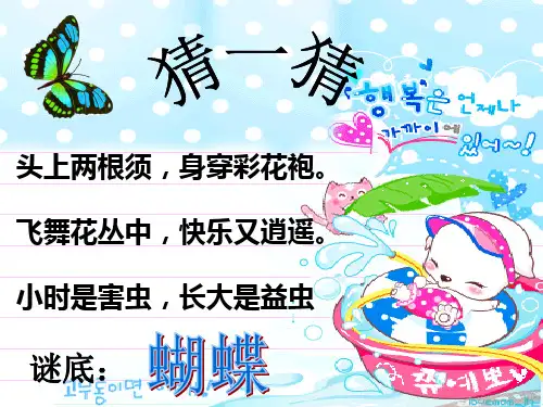 蝴蝶的一生ppt.