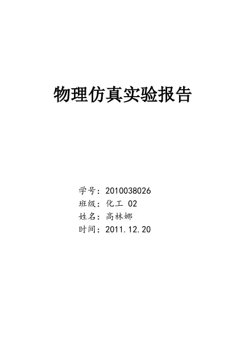 物理仿真实验报告