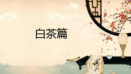 白茶篇