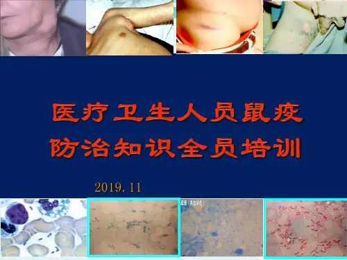 【精品】2020年医务人员鼠疫防治知识培训课件