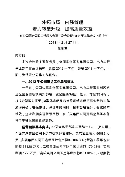 2013年总经理工作报告(单)