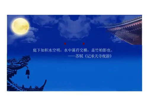第13课《湖心亭看雪》课件(共41张PPT)  统编版语文九年级上册