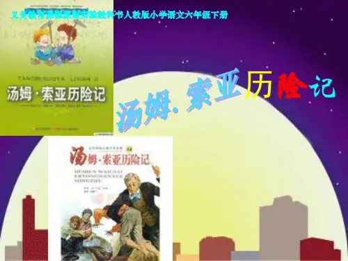 语文五下25汤姆索亚历险记市公开课一等奖课件名师大赛获奖课件