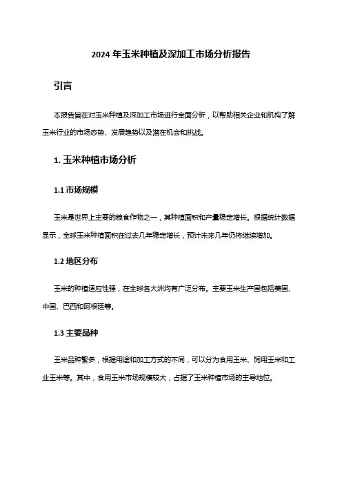 2024年玉米种植及深加工市场分析报告