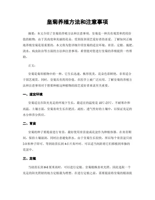 皇菊养殖方法和注意事项