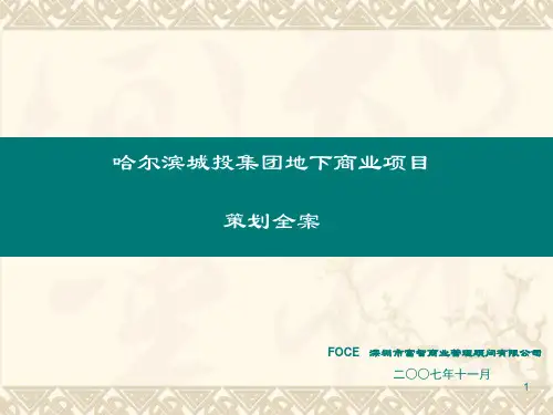 哈尔滨XX集团地下商业项目策划全案