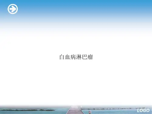 白血病淋巴瘤ppt文档
