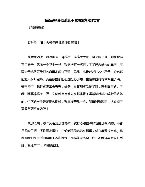 描写杨树坚韧不拔的精神作文